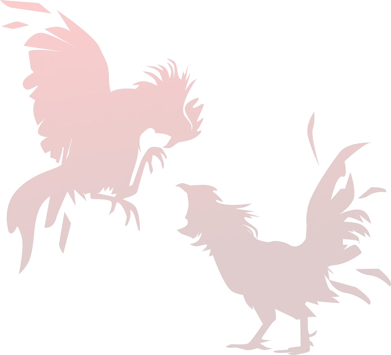 Cockfight